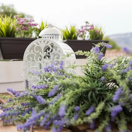 Quinta Da Salada - Local Douro Ferienhaus *