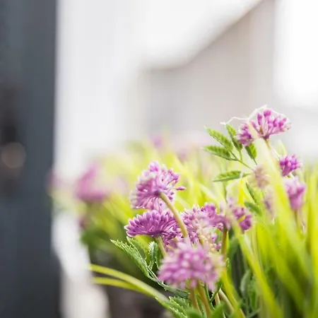 Quinta Da Salada - Local Douro Peso da Régua