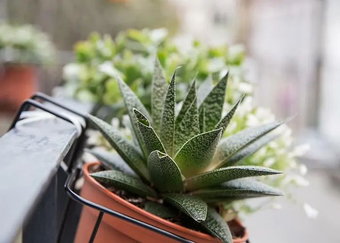 펜션 Quinta Da Salada - Local Douro *