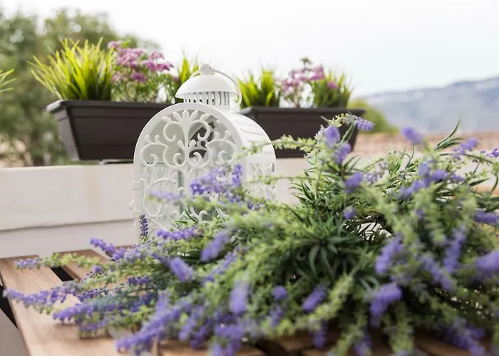 Quinta Da Salada - Local Douro 펜션 *