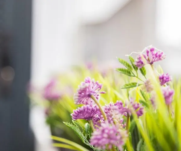 Quinta Da Salada - Local Douro 페소다레과